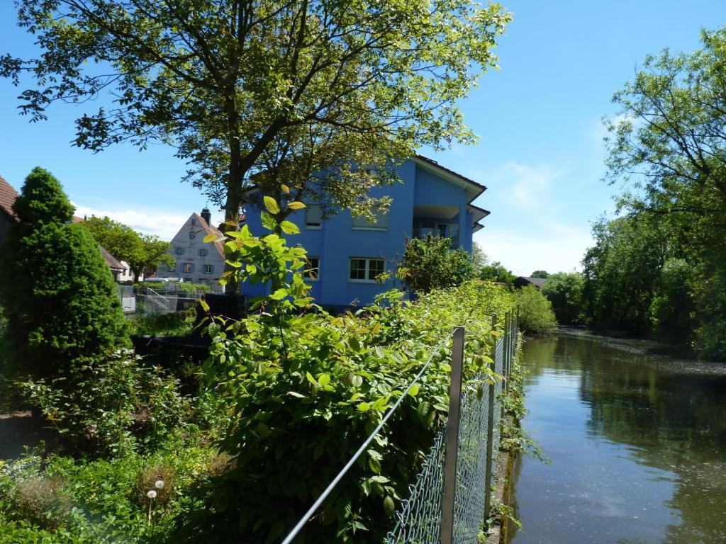 Hotel Muhleinsel Kenzingen Szoba fotó